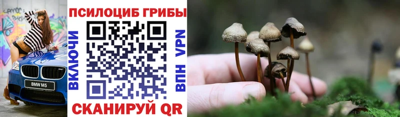 Псилоцибиновые грибы мицелий  мега как войти  Динская 